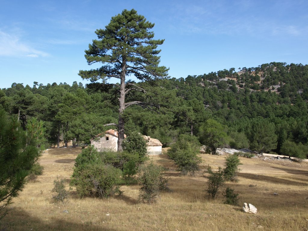 Casa forestal Fuente Acero (pino de BALBINA) by nono43