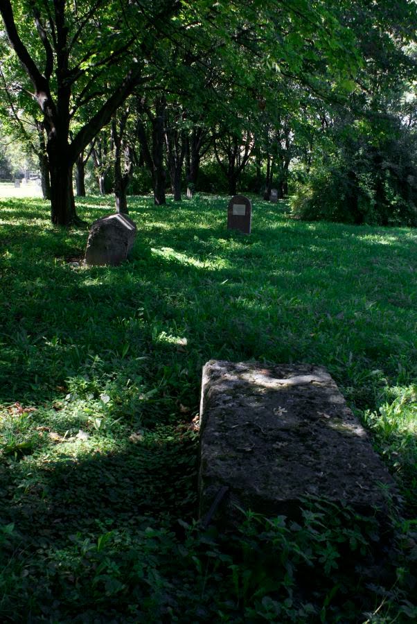 Jewish Cemetery (Kirkut). Chełm. Poland. by wurkut