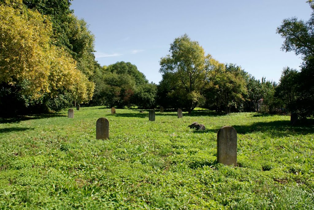 Jewish Cemetery (Kirkut). Chełm. Poland. by wurkut