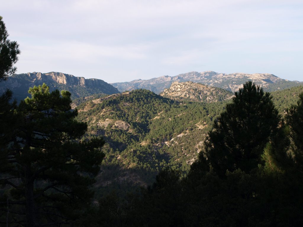 Vista desde los Arenales by nono43