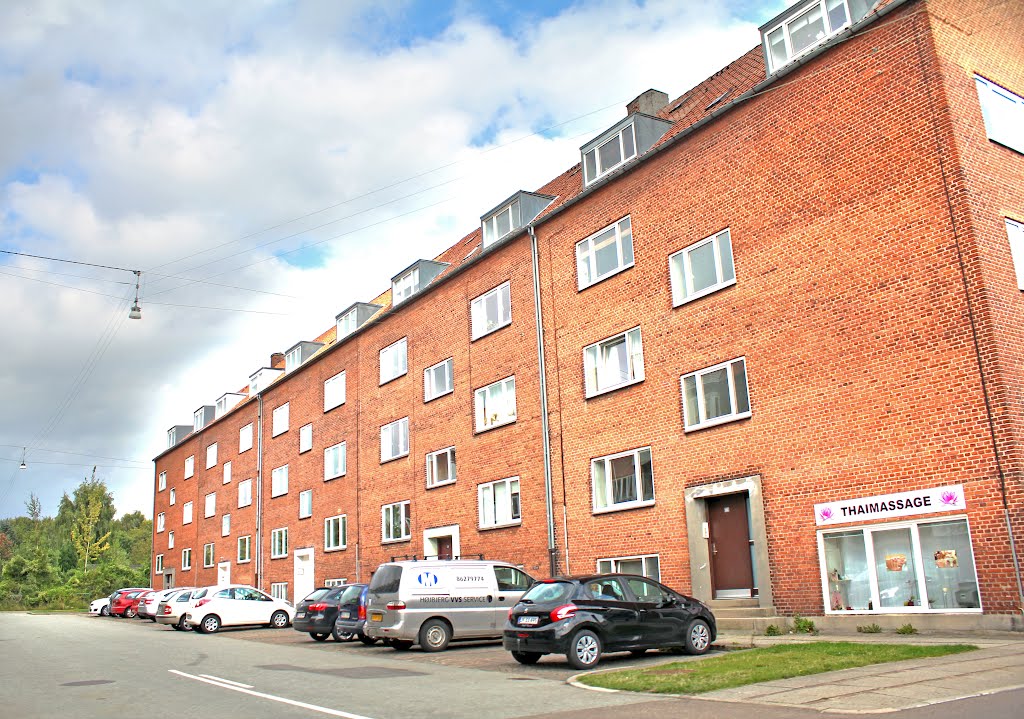 Silkeborgvej, Århus 2012 by jullevis