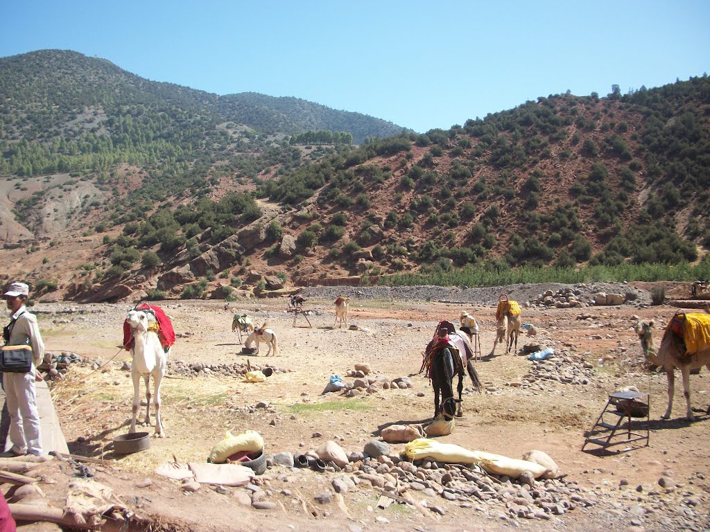 De Moulay Ibrahim vers Tahannaout by Mhamed Zarkouane