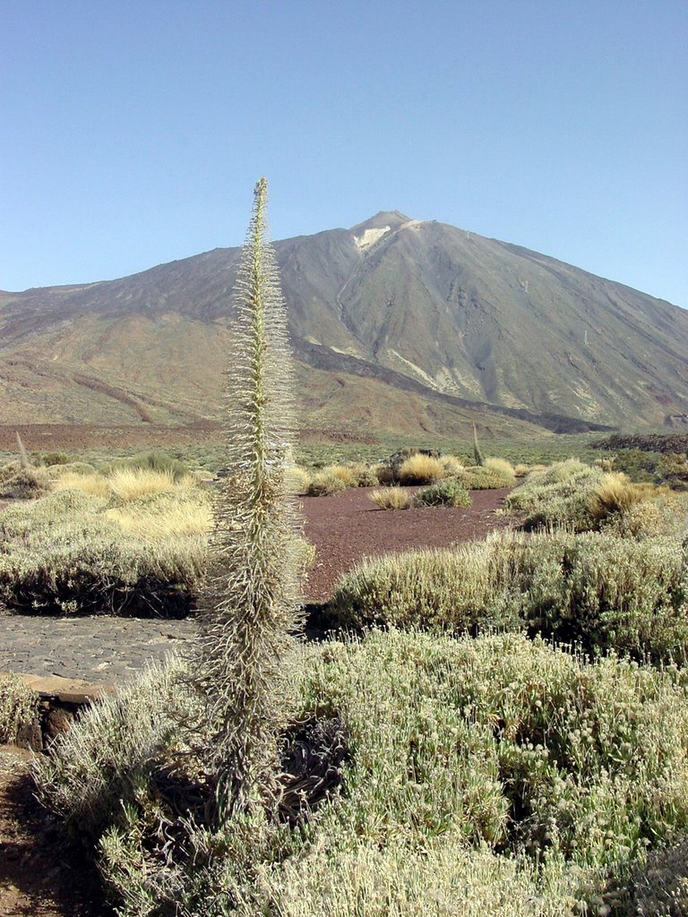 El Teide by J. Casillas