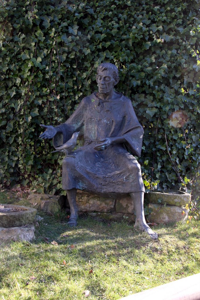 Franz von Assisi im Aachener Tierpark by Norbert Kirchhoff