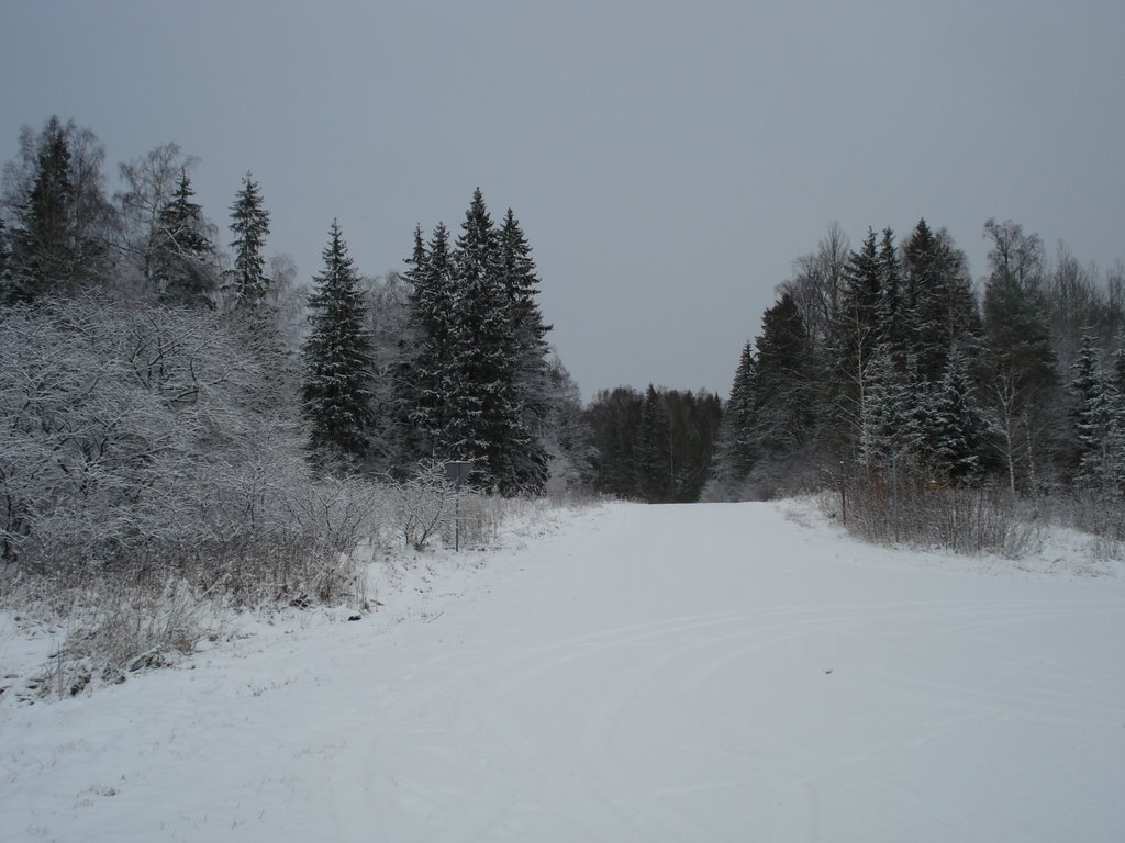 Winter Road by ---=XEON=---