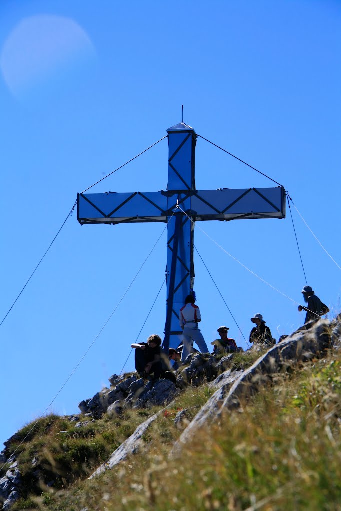 Sommet de l'Arclusaz by gentiane73