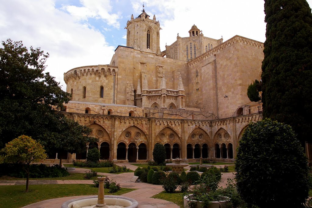 Catedral de Santa Maria, Tarragona, Cataluña, España by Antonio Alba