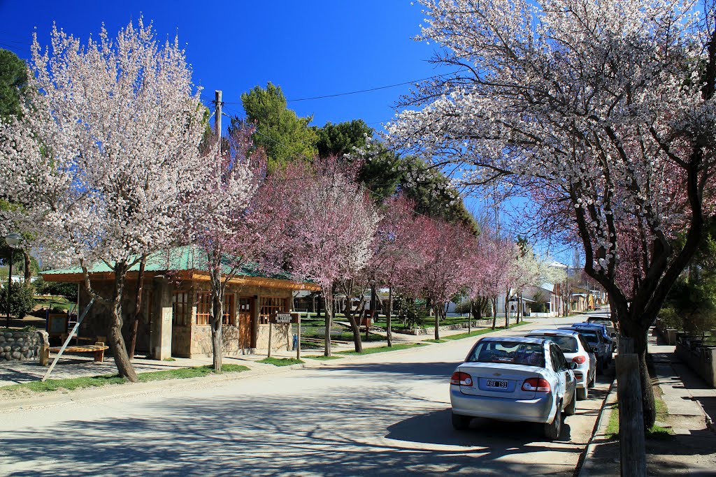 Primavera temprana en Alumine by mbernerv