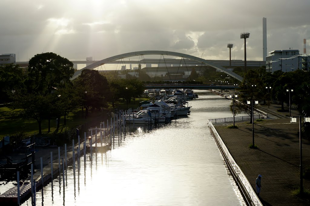 Shin-Sakon river / 新左近川 by Kangoo_