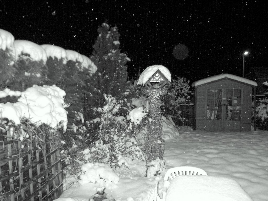 Birdtable in the SNOW by Wally Haines