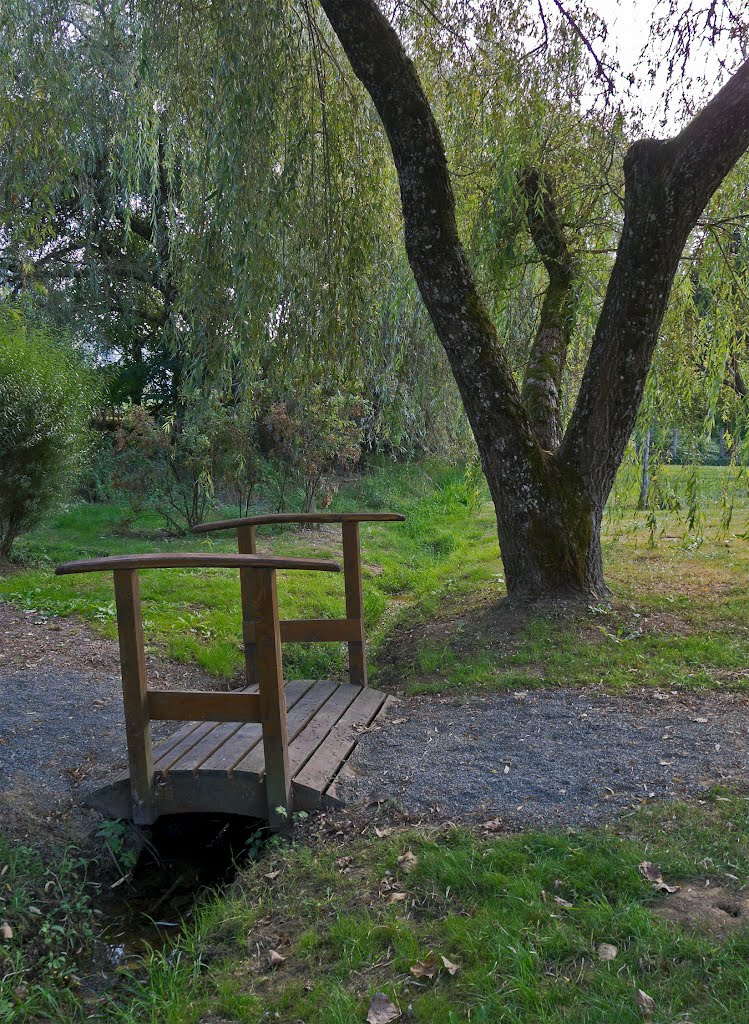 Bridge over the River Charente - Sep 2012 by Mike Stuckey