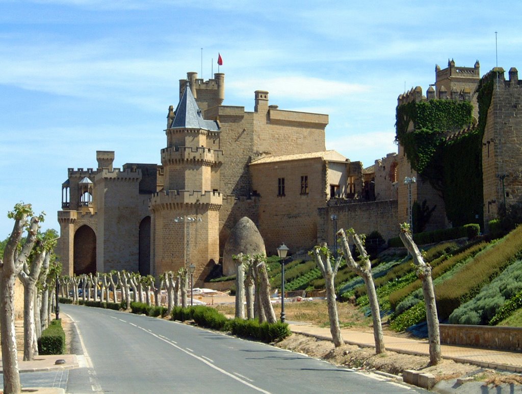 Olite - Palacio Real by Marius Tielen