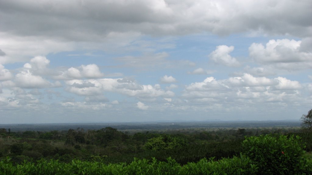 Llanura de San Carlos - Alajuela by Shirfa