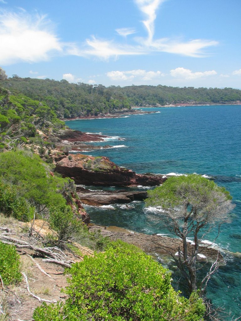 Boyd National Park, NSW by Przemyslaw Plucienni…