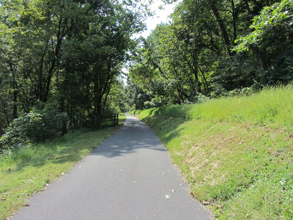 Palmer Township Rail Trail by Adam Elmquist