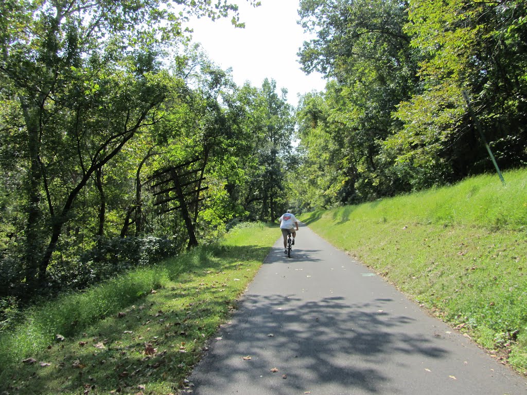 Palmer Township Rail Trail by Adam Elmquist