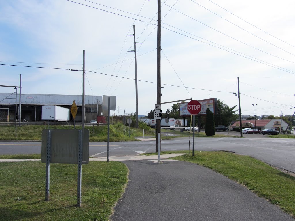 Wilson Bike Path by Adam Elmquist