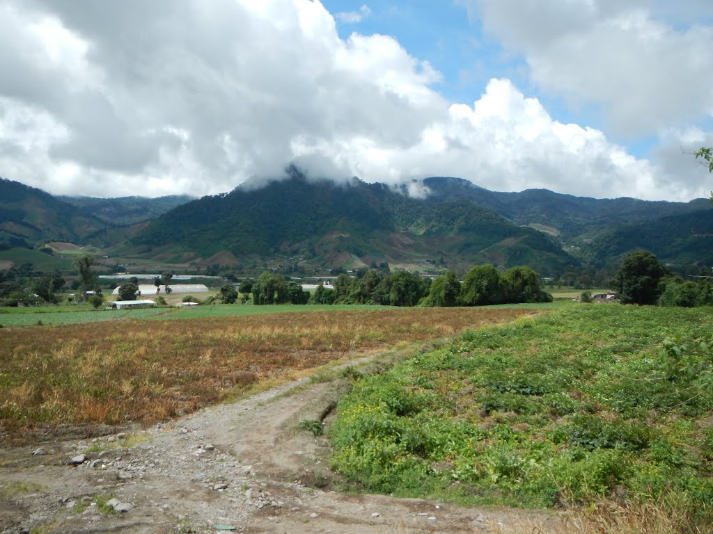 Cerro Punta, Chiriqui, Panama by nevelo