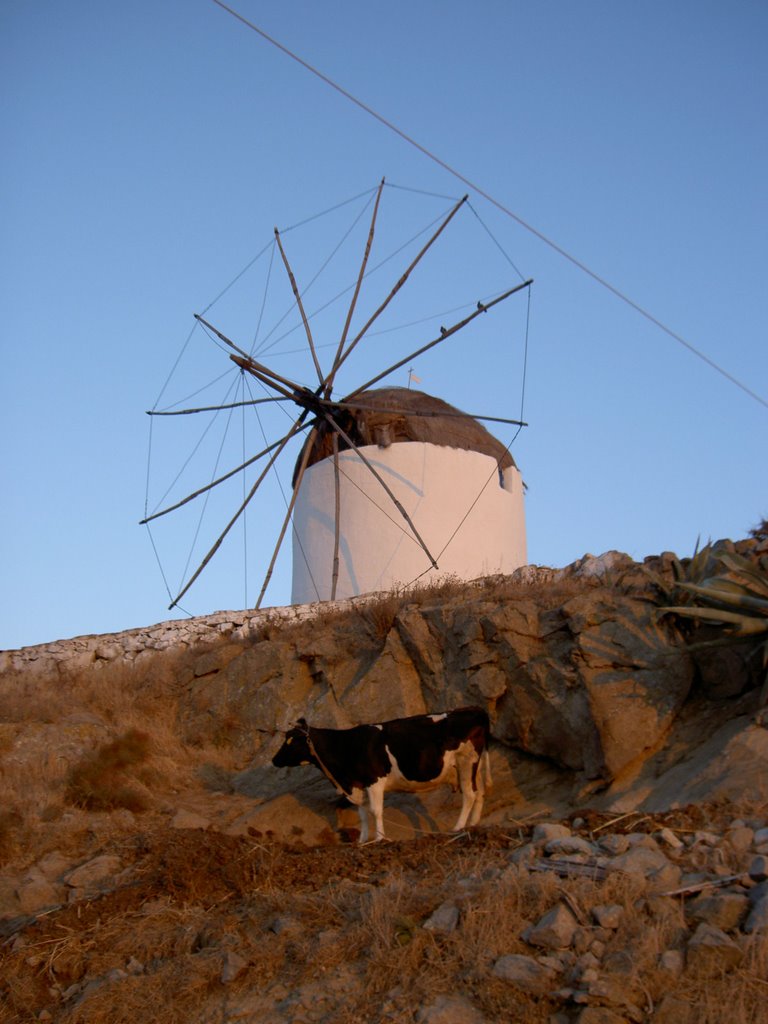 Windmill by nkotzak