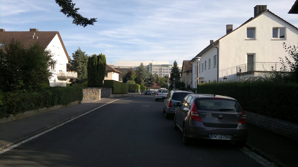 Hoefelstraße mit Blick auf Leo Krankenhaus by hartmut_bach