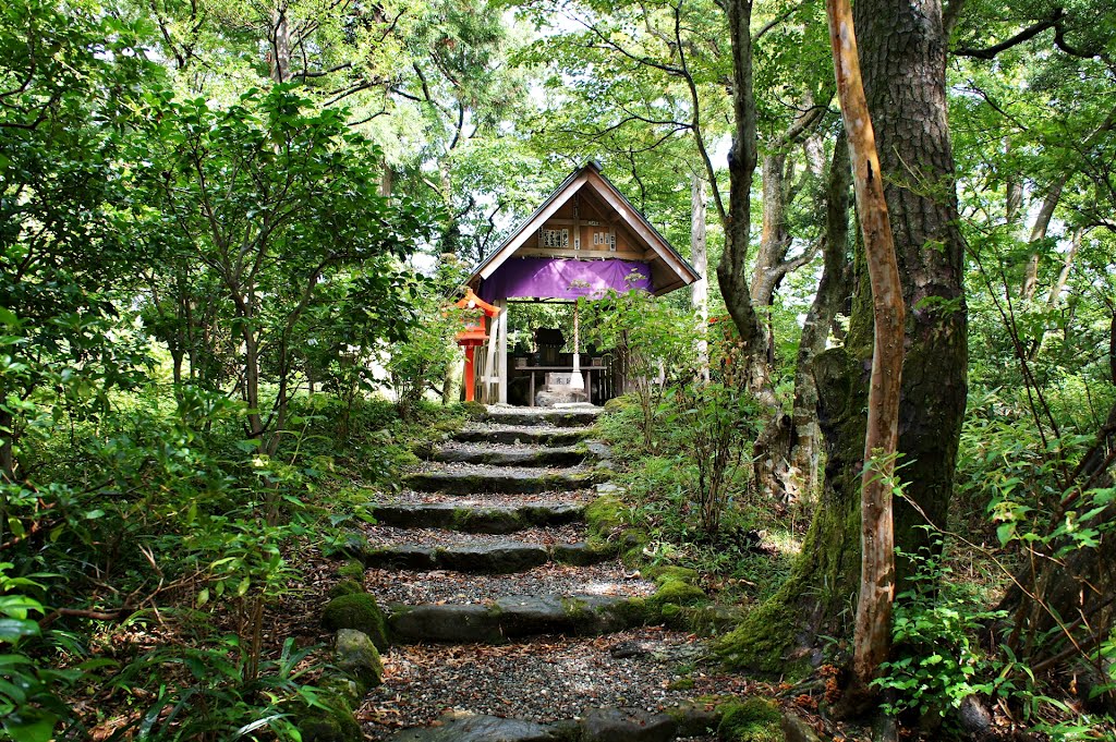 山王神社 -Sannō Shrine- by Saruman8000