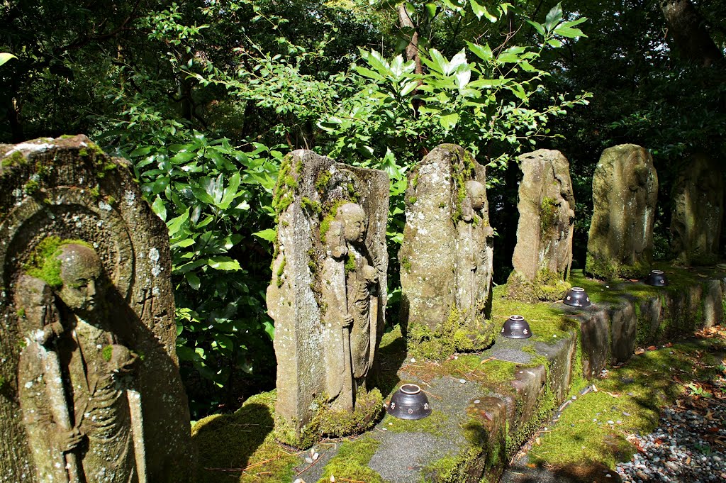 山王神社 -Sannō Shrine- by Saruman8000