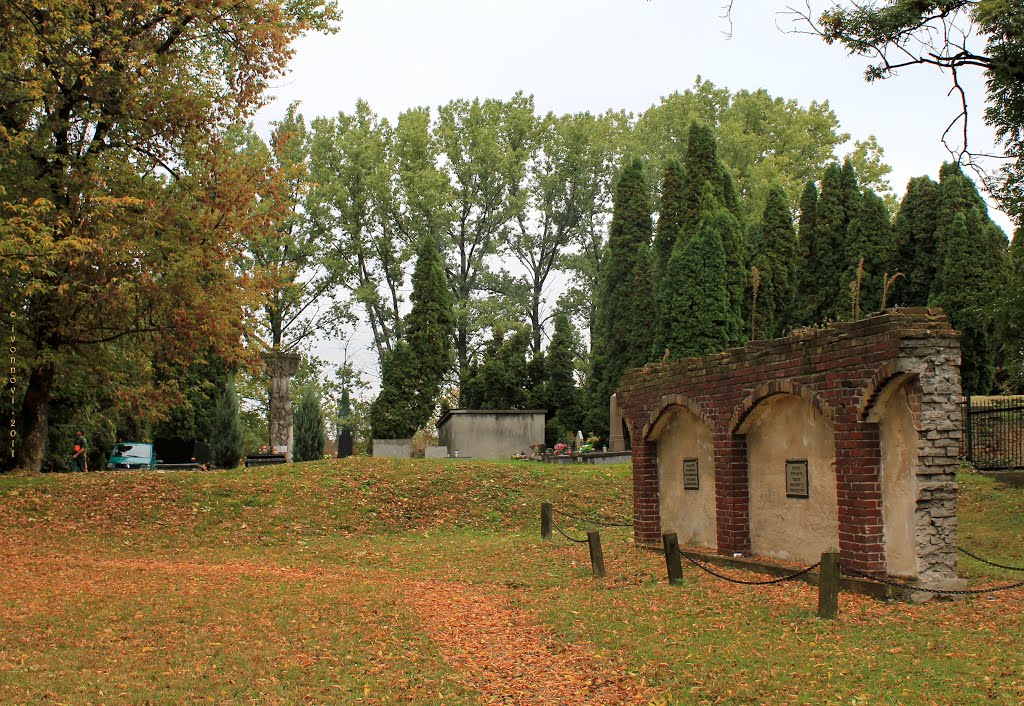 "New Jewish Cemetery" (founded 1829) / "Nowy Cmentarz Żydowski" (zał. 1829) / Der Neue Jüdische Friedhof (seit 1829) / قبرستان جدید کلیمی، سال تأسیس 1829 by Ivonna Nowicka