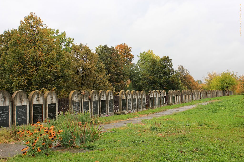 "New Jewish Cemetery" (founded 1829). Wall of Matsevahs / "Nowy Cmentarz Żydowski" (zał. 1829) - ogrodzenie z macew / Der Neue Jüdische Friedhof (seit 1829) - Mazewenmauer / قبرستان جدید کلیمی (سال تاسیس 1829)، دیوار by Ivonna Nowicka