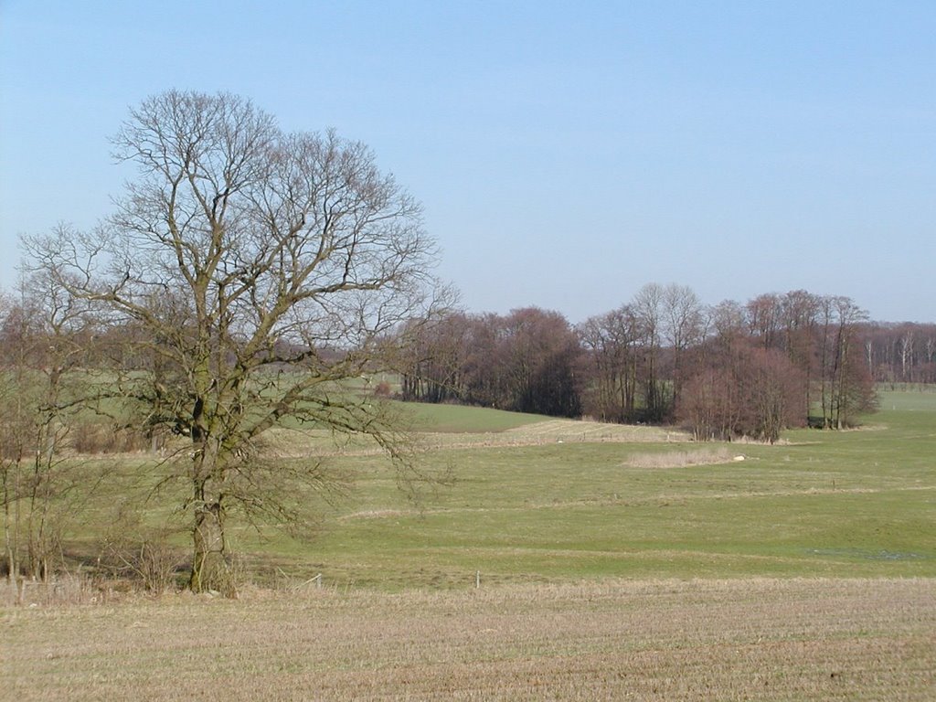 Landschaft bei Groß Niendorf by Hans Wolters