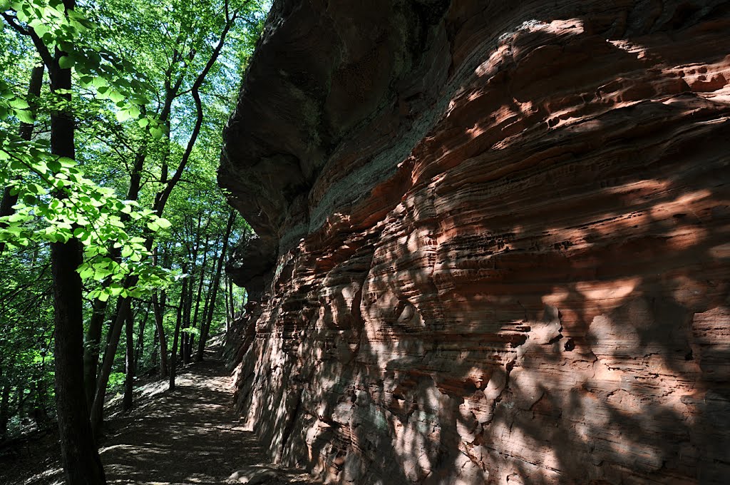 Weg an den Altschlossfelsen by hadewephoto