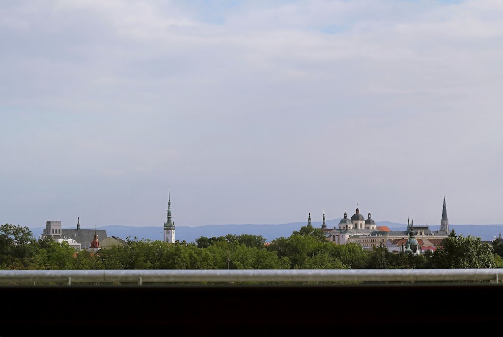 Výhledy z olomouckých teras (zleva farní kostel sv. Mořice, věž radnice, dvě věže kostela Panny Marie Sněžné, kostel sv. Michala, katedrála sv. Václava) by IvaF