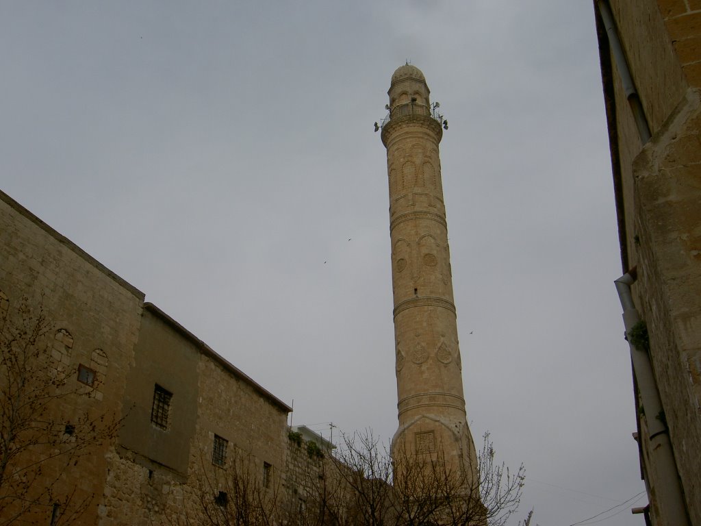 Mardin ve Artukoğulları by asisa