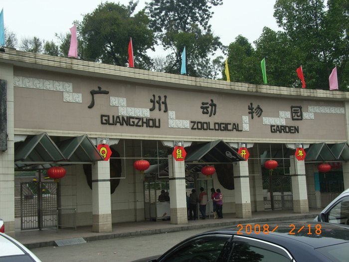 广州动物园 Guangzhou Zoo by sanderluohao