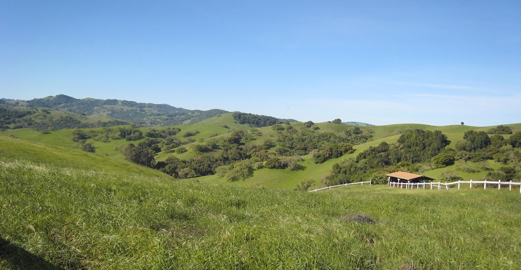 Beautiful Hills around Mt. Burdell by Scott Stevens