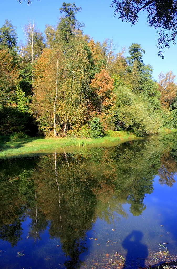 Shadows and reflections by Andrey Voronzov