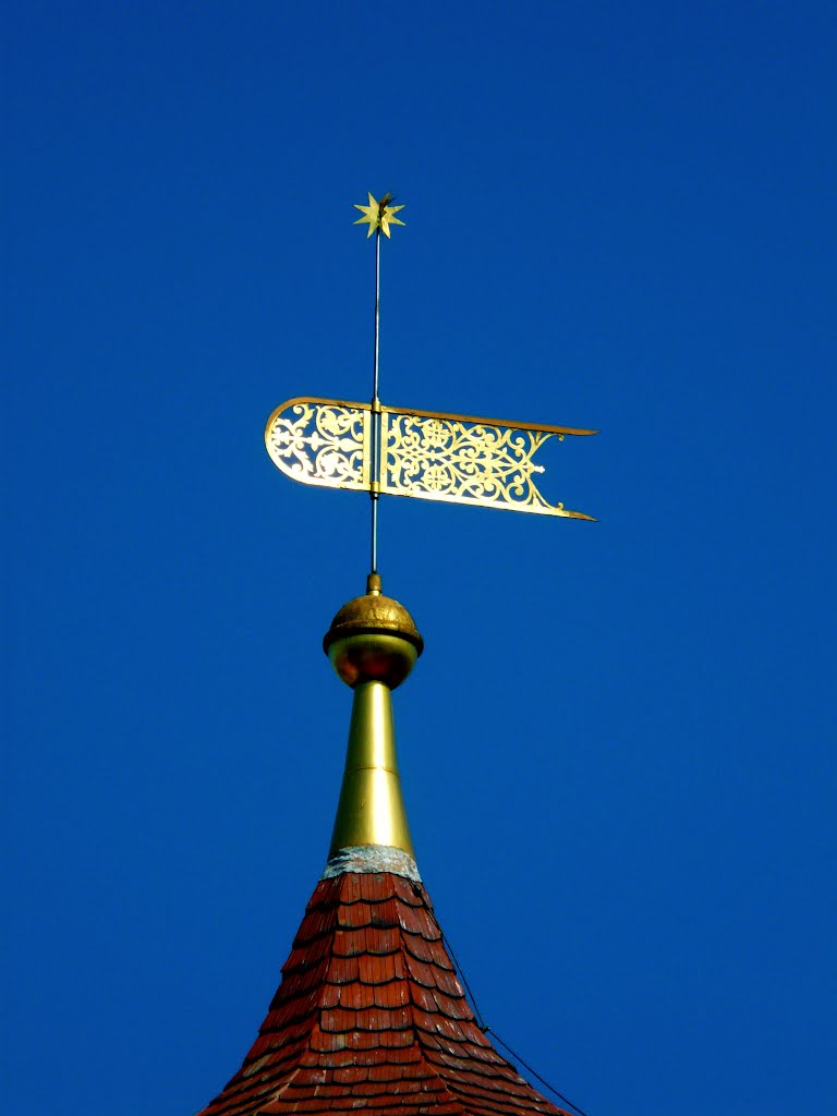 Germany_Brandenburg Country_Lausitz_Finsterwalde_Trinity Church_bell tower_weather vane_P1420523.JPG by George Charleston