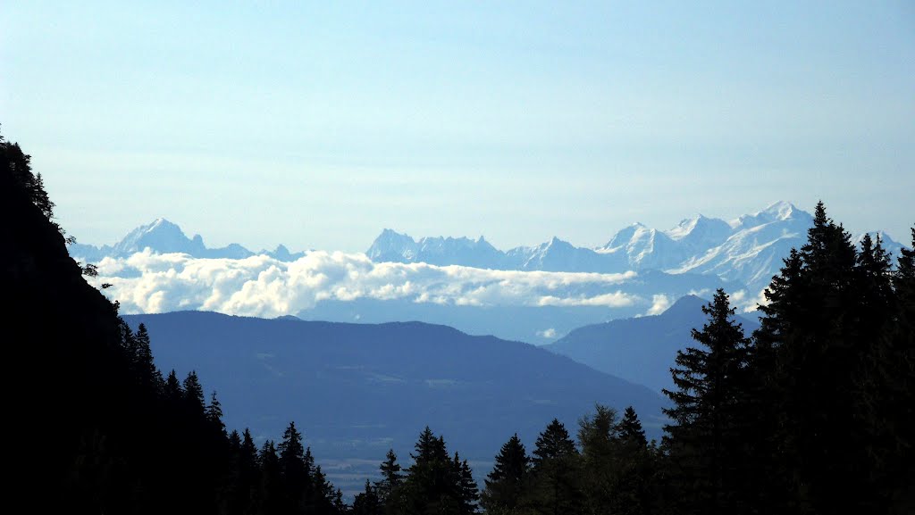 La chaîne du Mont Blanc depuis le col de la Faucille by Matopée