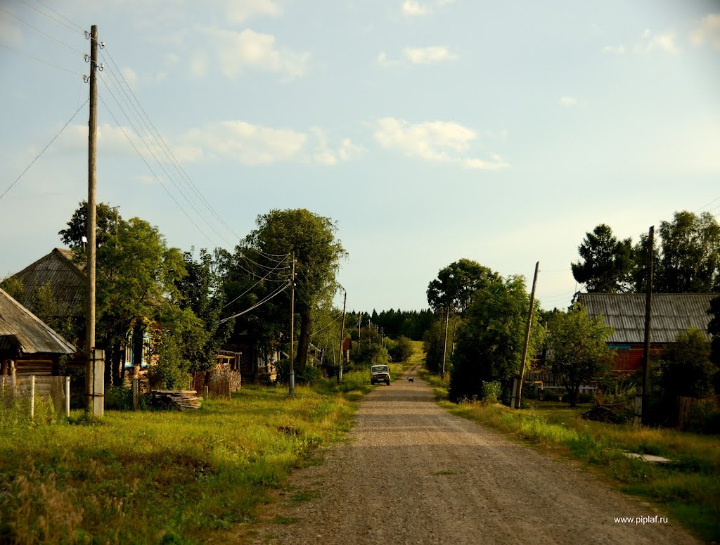 д. Сходская (The village Shodskaya ) by piplaf