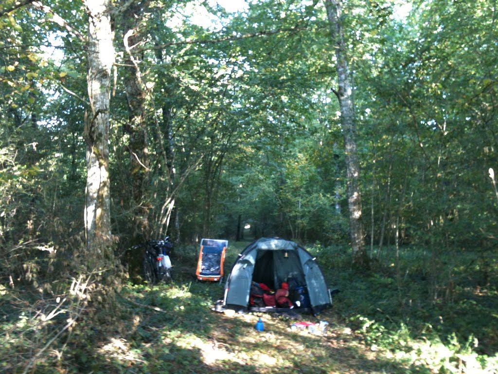 Overnachting in het rustige reeënbos by foetsiepuntnu