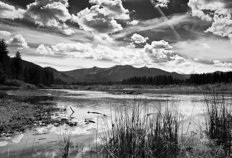 South Lake Tahoe Meadow by Pedro Solano