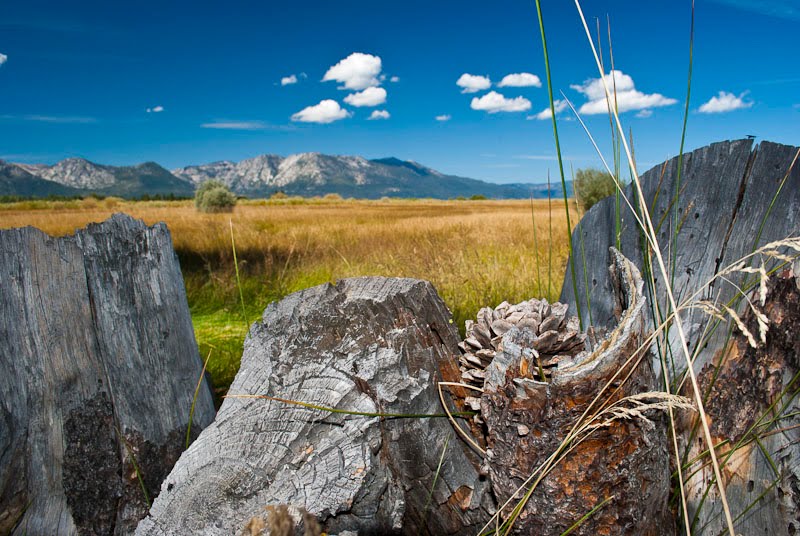 South Lake Tahoe Meadow with Logs in Foreground by Pedro Solano