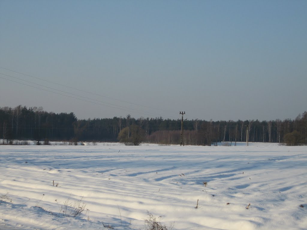 Bolewo, view westward, 2012 by Mariusz Bladek