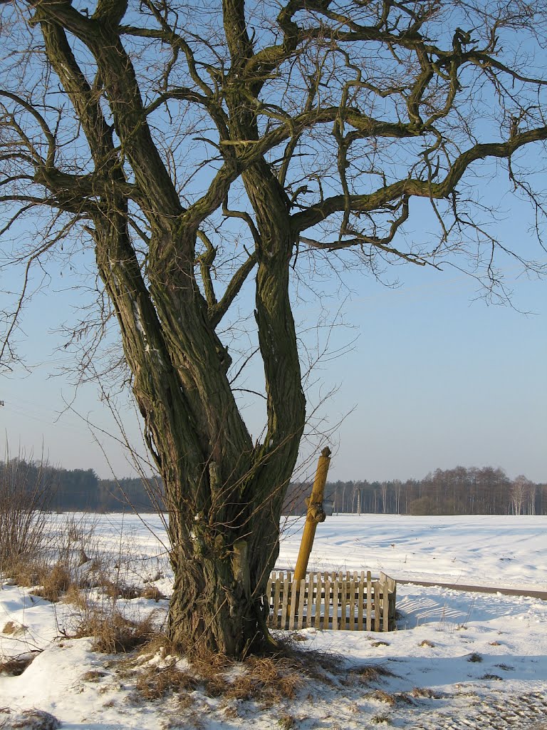 Bolewo, wayside cross #3, 2012 by Mariusz Bladek