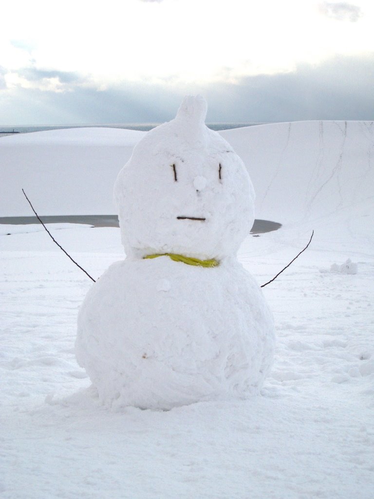 Tottori Sand Dune 05 (Snow Day) by sign