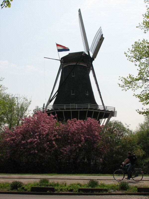 De Bloem Windmill by metallyza