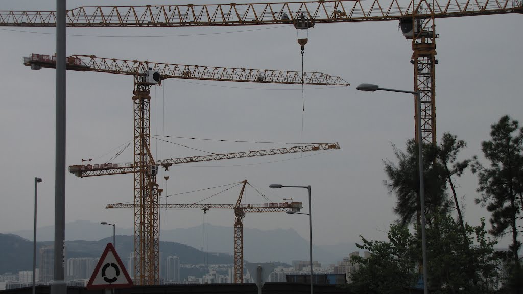 Shatin Area52 Public Housing Site (under construction 2012Sept) by thinsing