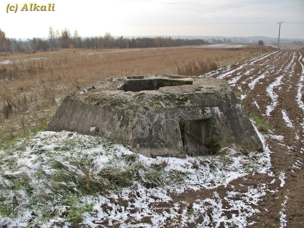 Koziegłowy - FuMG 65 "Würzburg-Riese", 3. mittlere Flugmelde-Leit-Kompanie, Stellung „Warthenstein“ by Alkali