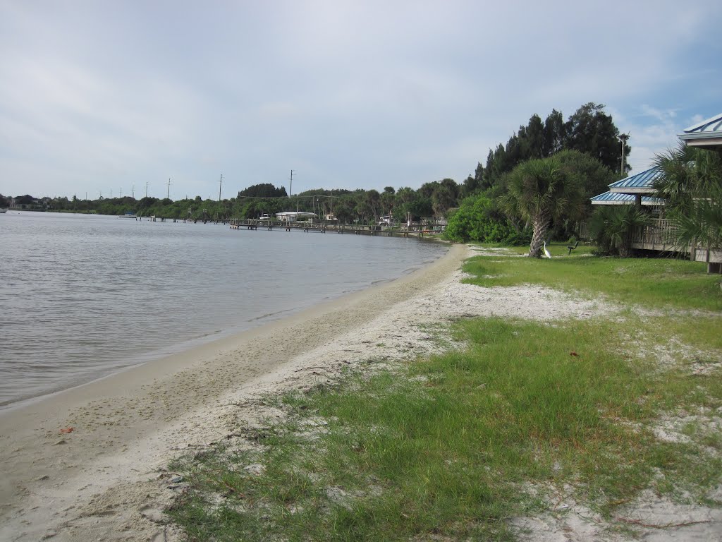 View of shoreline facing south by habeels