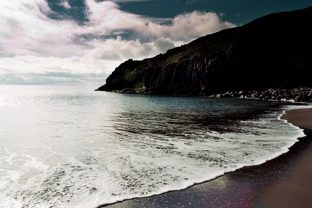 Prainha, madeira by Alexandre Cosentino TerrAntipodia