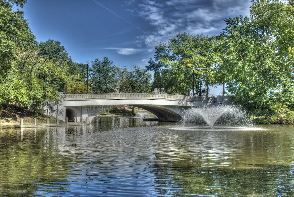 Duck Pond by Adam Elmquist